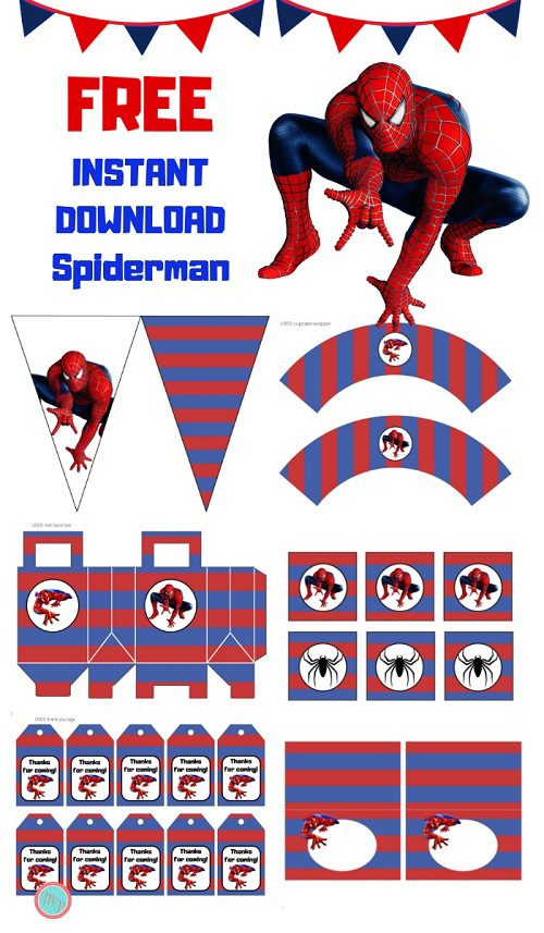 Free Spiderman Party Package Printable