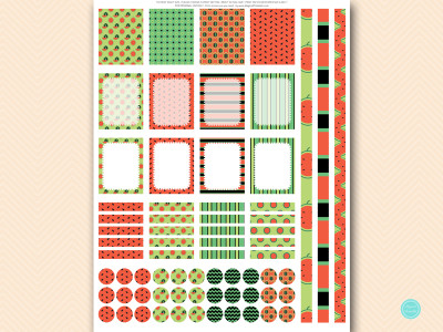 watermelon planner stickers summer