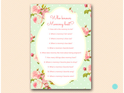 tlc85-who-knows-mommy-best-mint-baby-shower-game-shabby
