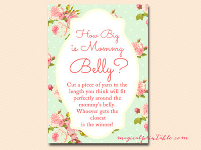 how-big-is-mommys-belly-mint-baby-shower-shabby-chic-tlc85