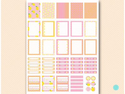 mps13-planner-stickers-printable-erin-codren-lemon-citrus-planner-stickers