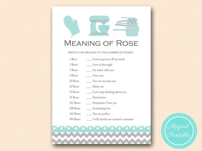 BS76A-meaning-of-rose-teal-kitchen-bridal-shower