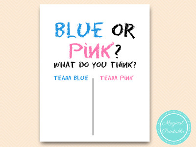 sn29-8x10-white-pink-or-blue-gender-reveal-board