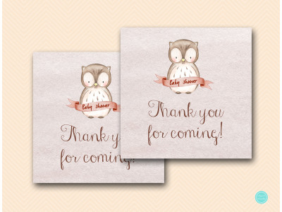 sn401-favor-tags-owl-baby-shower-favor-tags-label