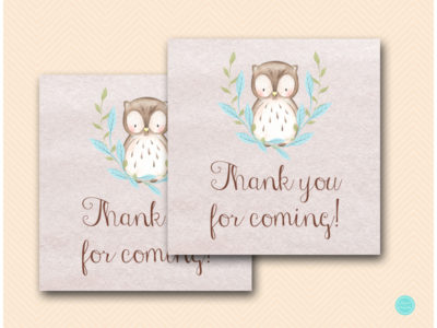 SN401B Favor-Tags-2in-blue-owl-baby-shower-thank-you-tags