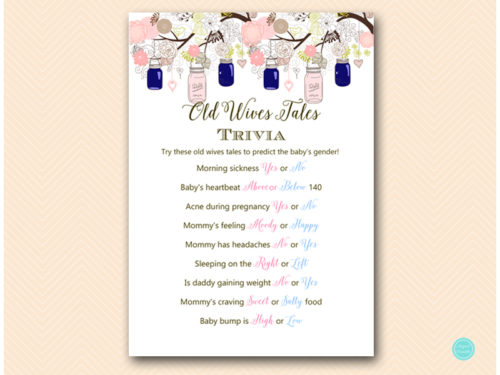 TLC479-old-wives-tales-B-navy-blue-pink-mason-jars-shower-game