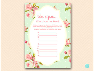 TLC85-guess-whats-in-bag-baby-shower-mint-shabby-chic