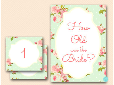 how-old-was-the-bride-to-be-mint-rose-shabby-chic-bridal-shower