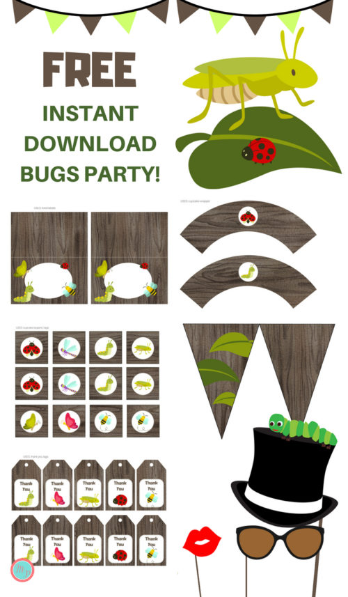 __Free-Bugs-party-Printable
