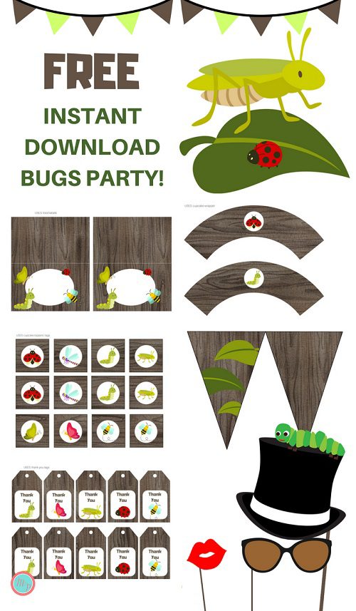Free-Bugs-party-Printable